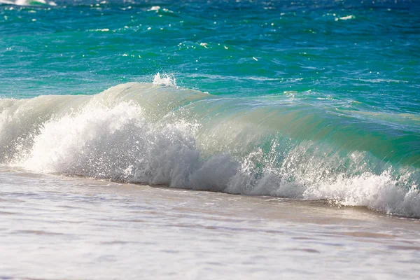 Olas en la playa de un mar tropical —  Fotos de Stock