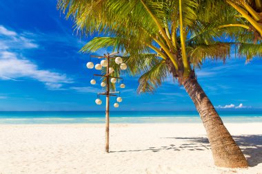 düş sahne. güzel palmiye ağacı üzerinde beyaz kum plaj. yaz n