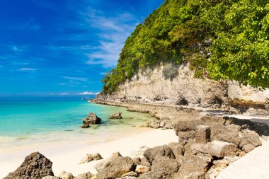 düş sahne. güzel palm ağaçlar üzerinde beyaz kum plaj, inci