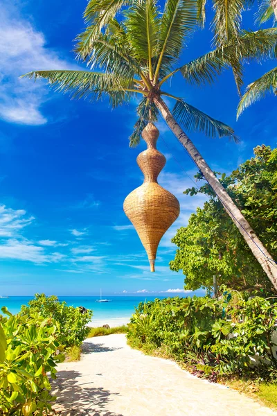 Escena de sueños. Hermosa palmera sobre la playa de arena blanca. Verano n —  Fotos de Stock