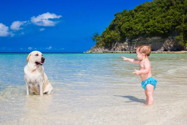 Küçük bir çocuk ile tropikal bir plajda eğlenmek bir köpek. — Stok fotoğraf