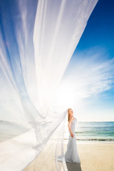 Bela noiva em vestido de noiva branco e grande trai branco longo — Fotografia de Stock