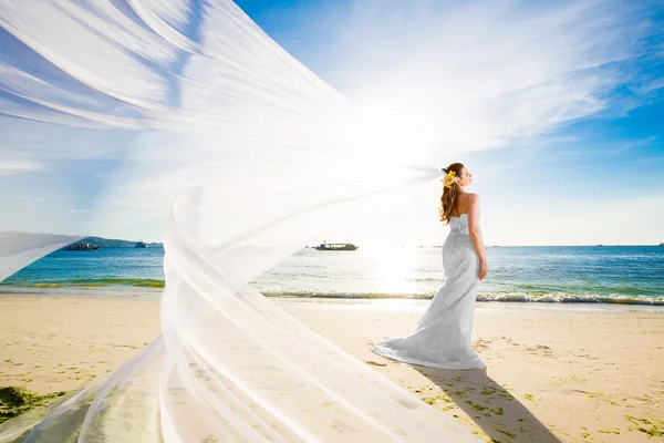 Beautiful fiancee in white wedding dress and big long white trai — Stock Photo, Image