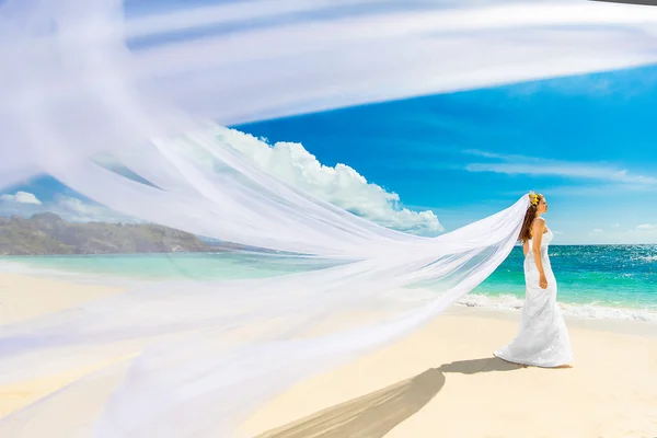 Beautiful fiancee in white wedding dress and big long white trai — Stock Photo, Image