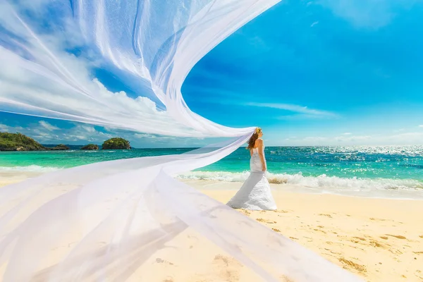 Beautiful fiancee in white wedding dress and big long white trai — Stock Photo, Image