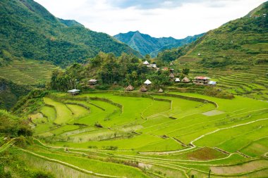 Pirinç terasları Filipinler. Bir vadi amo köyüdür