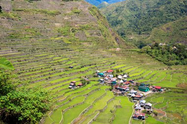 Pirinç terasları Filipinler. Bir vadi amo köyüdür