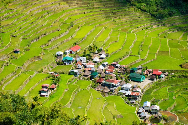 Terraços de arroz nas Filipinas. A aldeia está em um vale amo — Fotografia de Stock