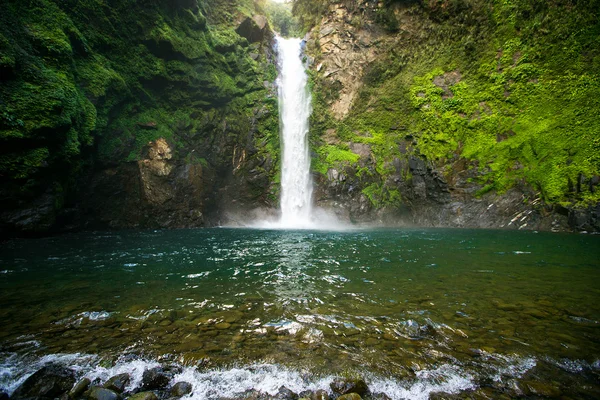Şelale bir dağ gorge, Filipinler.