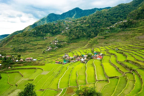 Рисові тераси на Філіппінах. Село знаходиться в долині amo — стокове фото