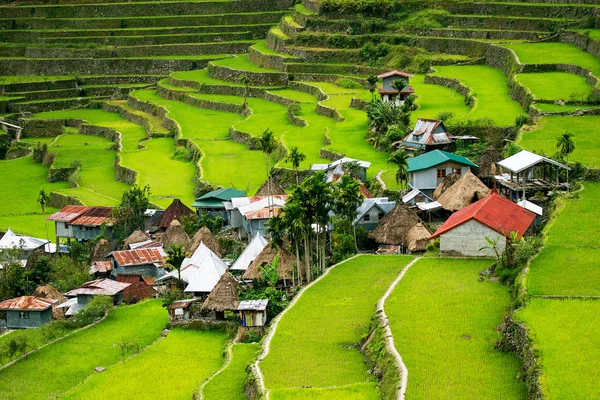 Pirinç terasları Filipinler. Bir vadi amo köyüdür — Stok fotoğraf