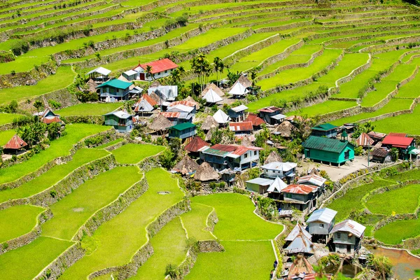 Pirinç terasları Filipinler. Bir vadi amo köyüdür — Stok fotoğraf