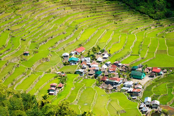 Terraços de arroz nas Filipinas. A aldeia está em um vale amo — Fotografia de Stock