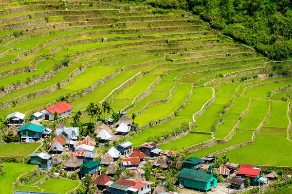 Рисовые террасы на Филиппинах. Деревня находится в состоянии вандализма — стоковое фото