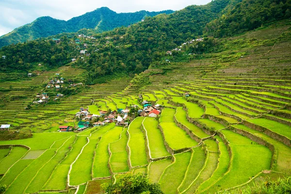Terraços de arroz nas Filipinas. A aldeia está em um vale amo — Fotografia de Stock
