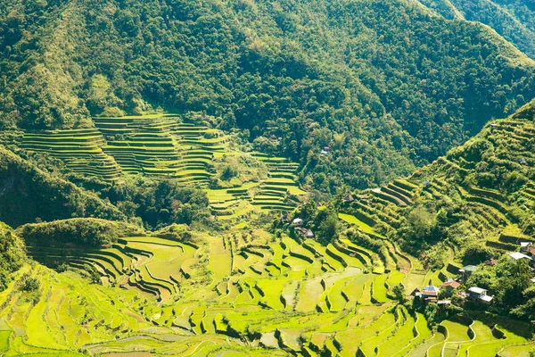 Terrazas de arroz en Filipinas. El pueblo está en un valle amo — Foto de Stock