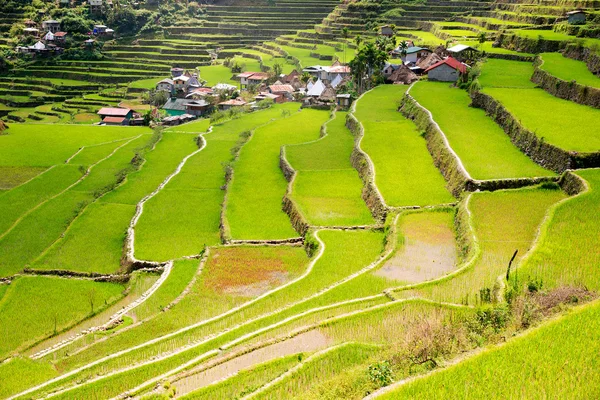 Terraços de arroz nas Filipinas. A aldeia está em um vale amo — Fotografia de Stock