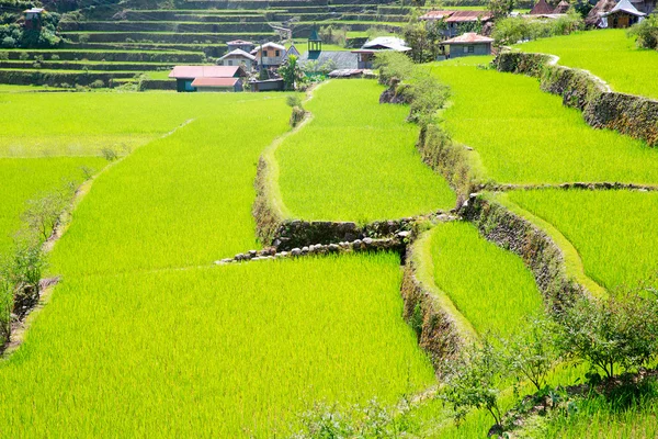 Pirinç terasları Filipinler. Bir vadi amo köyüdür — Stok fotoğraf