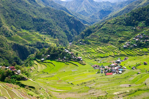 Reisterrassen auf den Philippinen. Das Dorf liegt in einem Tal. — Stockfoto