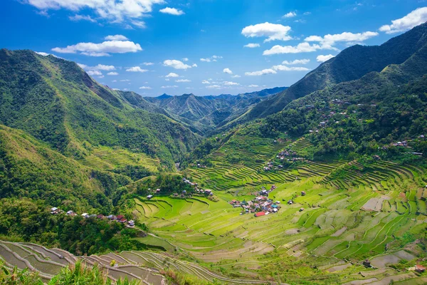 Rice terraces in the Philippines. The village is in a valley amo — Stock Photo, Image