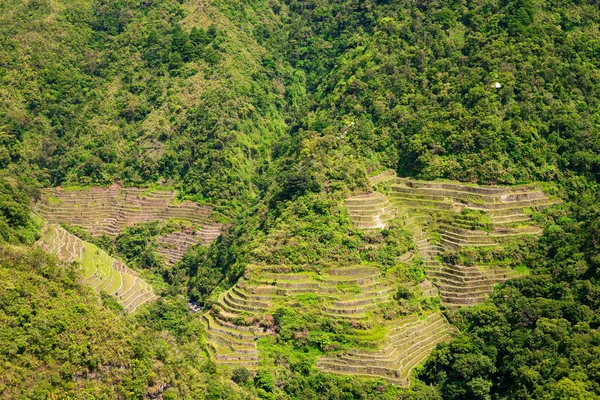 Terrazas de arroz en Filipinas. Cultivo de arroz en el norte — Foto de Stock