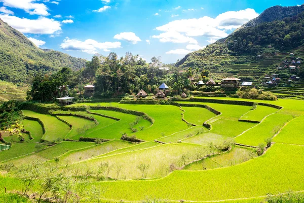 Rice terraces in the Philippines. The village is in a valley amo — Stock Photo, Image