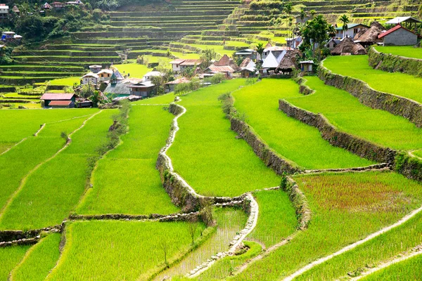 Terase de orez în Filipine. Satul este într-o vale amo — Fotografie, imagine de stoc