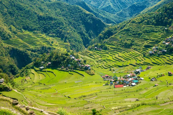 Terraços de arroz nas Filipinas. A aldeia está em um vale amo — Fotografia de Stock