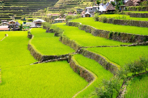 Рисовые террасы на Филиппинах. Деревня находится в состоянии вандализма — стоковое фото