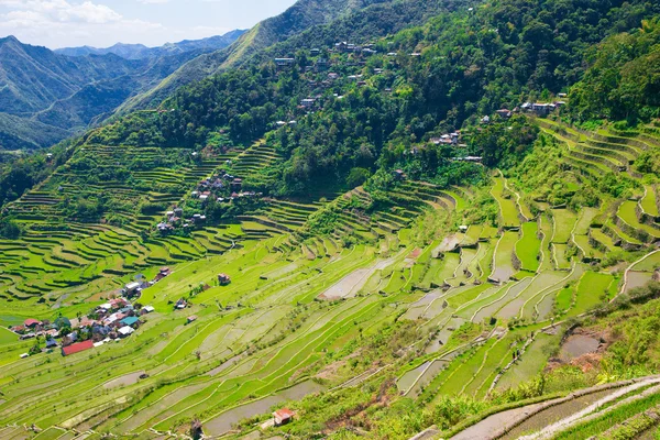 Reisterrassen auf den Philippinen. Das Dorf liegt in einem Tal. — Stockfoto