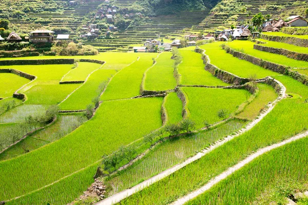 Reisterrassen auf den Philippinen. Das Dorf liegt in einem Tal. — Stockfoto