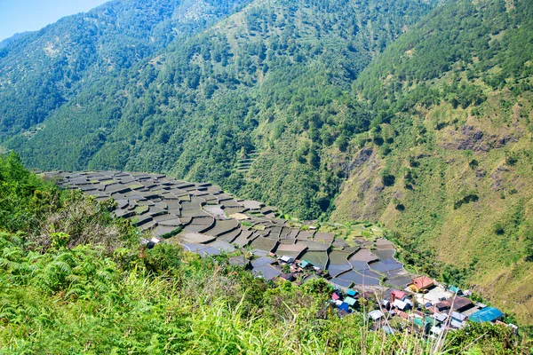 Pirinç terasları Filipinler. Bir vadi amo köyüdür — Stok fotoğraf