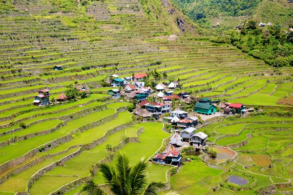 Reisterrassen auf den Philippinen. Das Dorf liegt in einem Tal. — Stockfoto