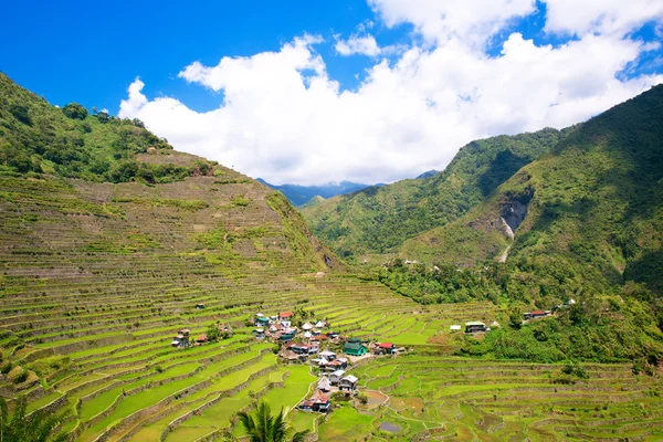 Ris terrasser i Filippinerne. Landsbyen ligger i en dal. - Stock-foto