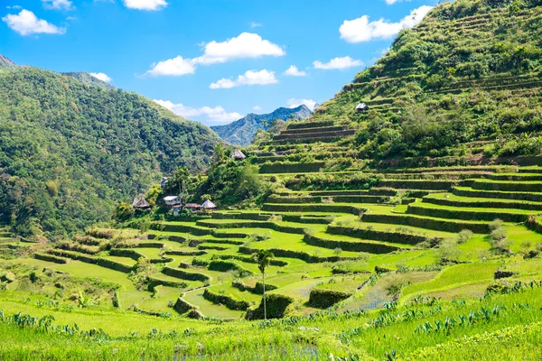 Rice terraces in the Philippines. The village is in a valley amo — Stock Photo, Image