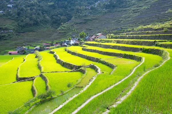 필리핀에서의 쌀 테라스 마을 계곡 amo에는 — 스톡 사진