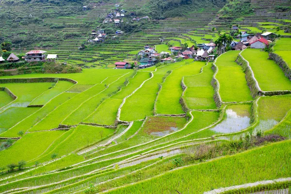Terraços de arroz nas Filipinas. A aldeia está em um vale amo — Fotografia de Stock