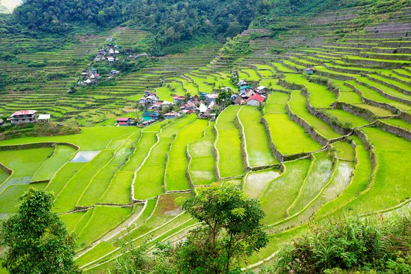 Reisterrassen auf den Philippinen. Das Dorf liegt in einem Tal. — Stockfoto