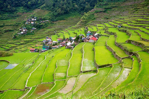 Pirinç terasları Filipinler. Bir vadi amo köyüdür — Stok fotoğraf