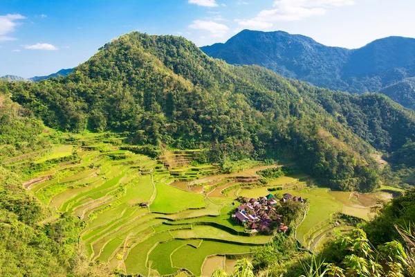 Reisterrassen auf den Philippinen. Das Dorf liegt in einem Tal. — Stockfoto