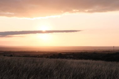 Tarlanın üzerinde gün doğumu