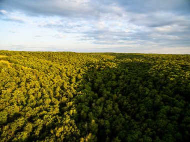 Günbatımı manzarası, orman, bulutlar, gökyüzü
