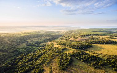 Ormanın üzerindeki güzel günbatımı manzarası