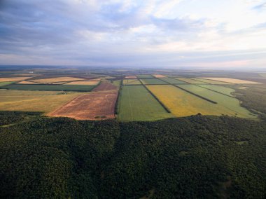 Görünüm alanları