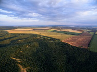 Görünüm alanları