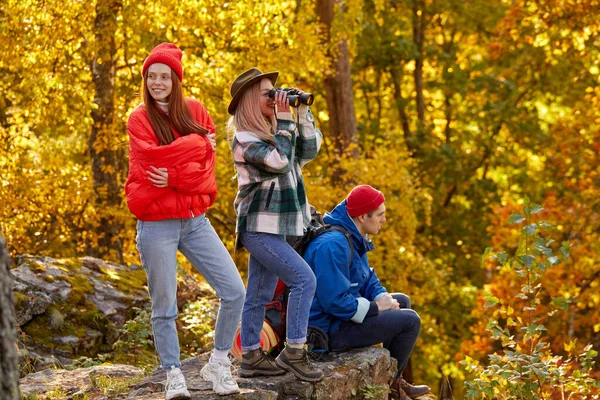 Bir grup insan dağlarda mutlu, birlikte seyahat etmekten zevk alıyorlar. — Stok fotoğraf