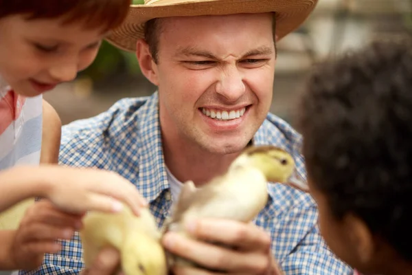 Öğrencilere ördek yavrusu gösteren mutlu yetişkin erkek öğretmen portresi. — Stok fotoğraf