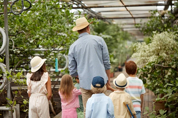 Groep kinderen lopen in kas met leraar man — Stockfoto