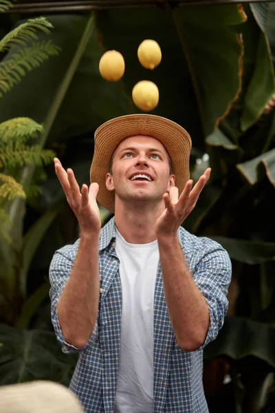 Adult caucasian man juggles lemons — Stock Photo, Image