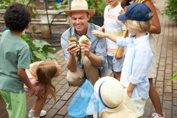 Junger Lehrer zeigt Kindern bei Ausflug kleine Entchen — Stockfoto